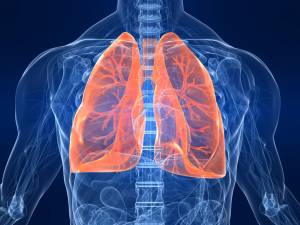 Профилактика заболеваний нижних дыхательных путей